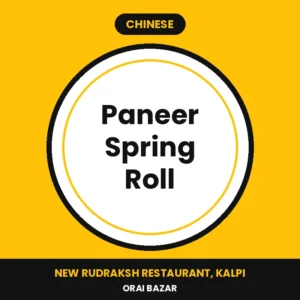 Paneer Spring Roll